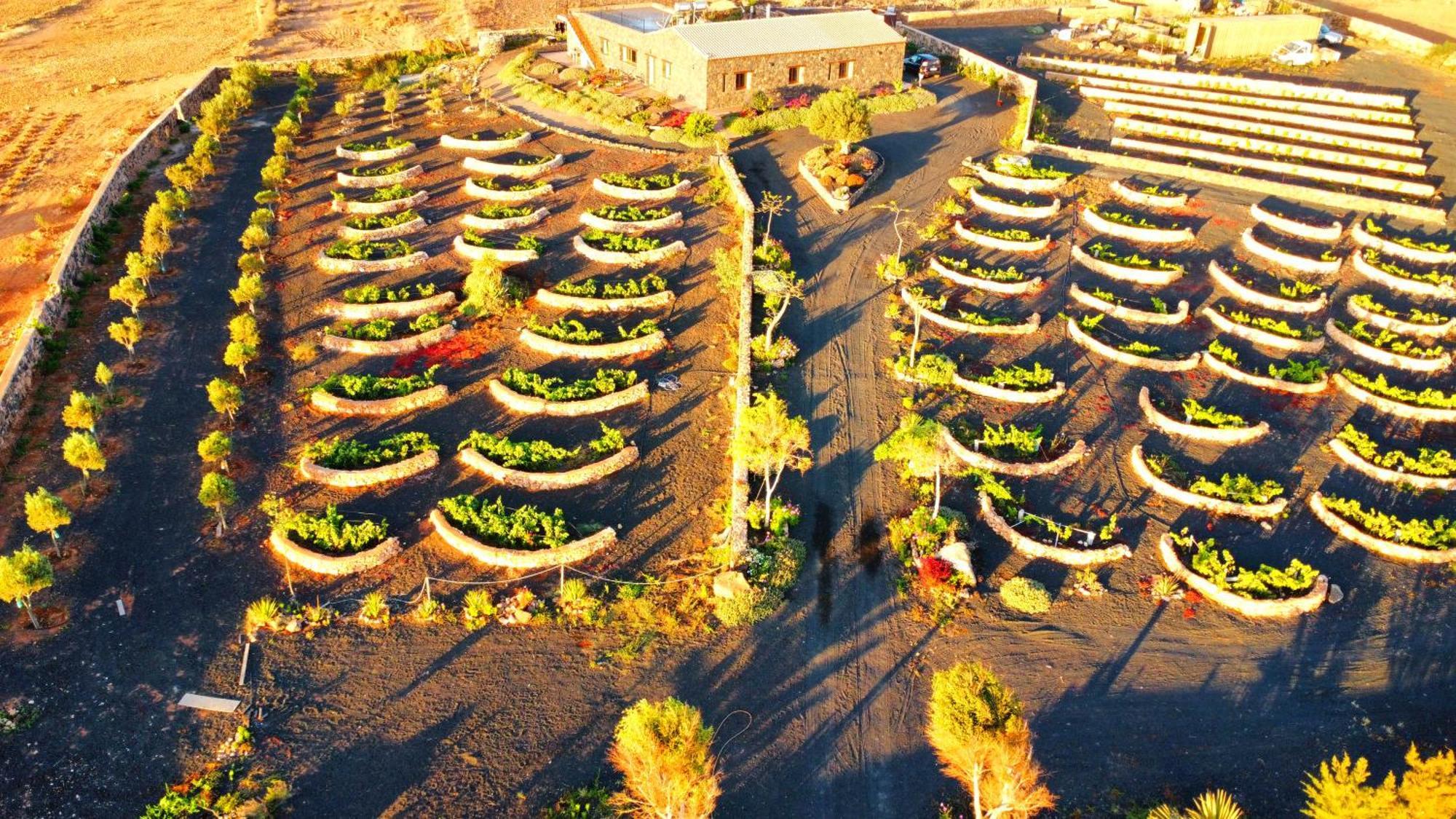 Agriturismo El Bounty1 Puerto del Rosario  Exterior foto